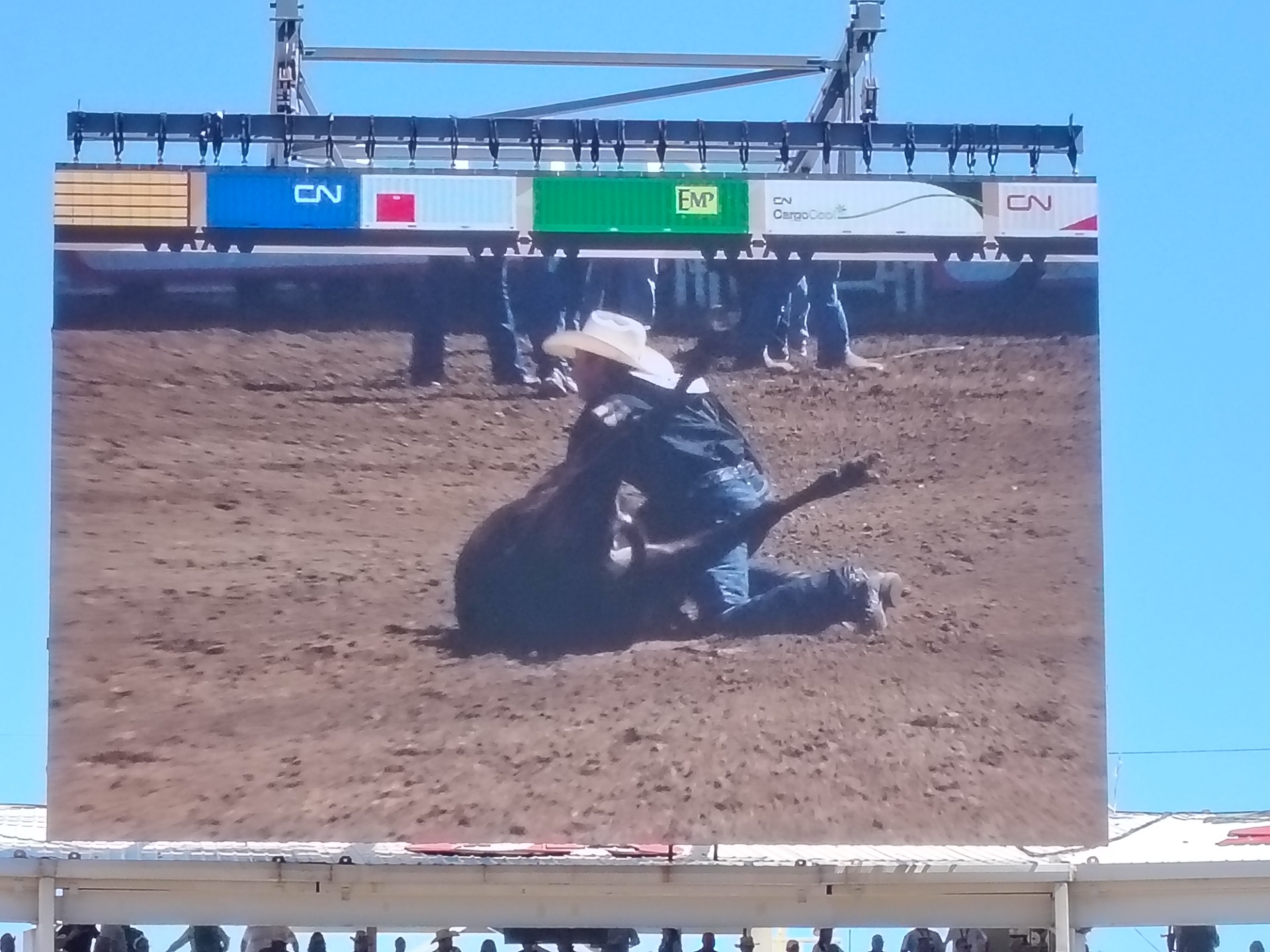 Steer wrestling