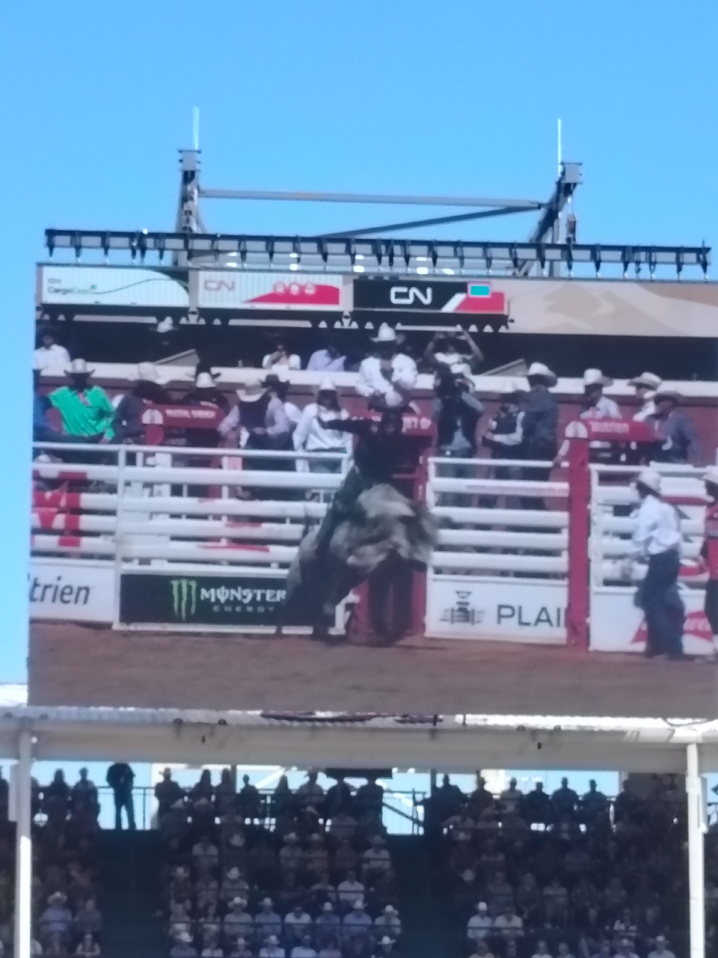 Bull riding