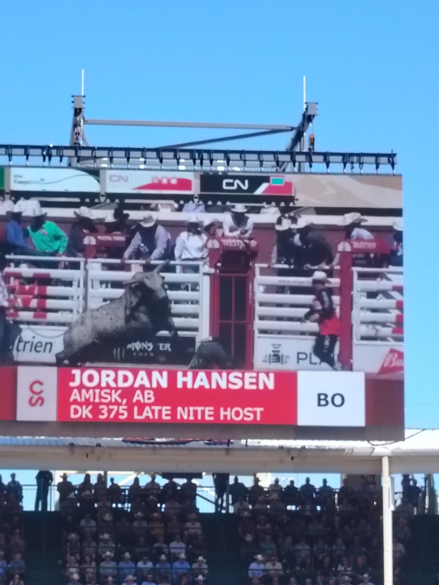 Bull riding